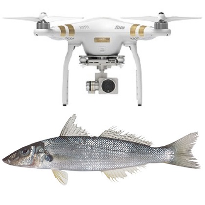 Phantom 3 Bait Dropper